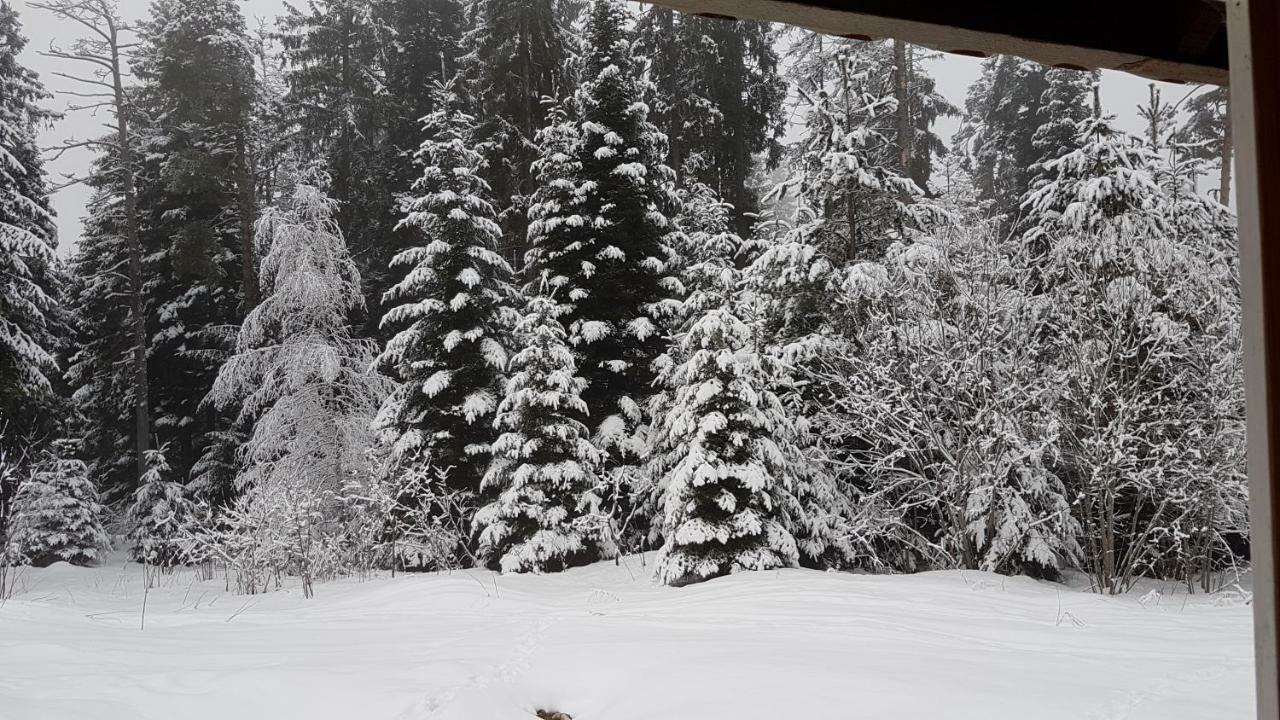 Chalet Taffski Μπόροβετς Εξωτερικό φωτογραφία